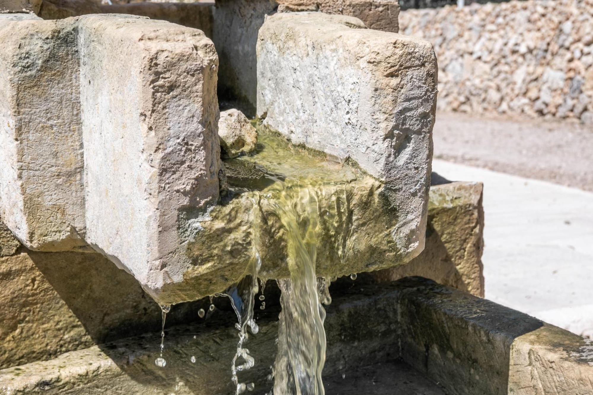 Agriturismo Masseria Del Bosco Makyva Borgagne Zewnętrze zdjęcie