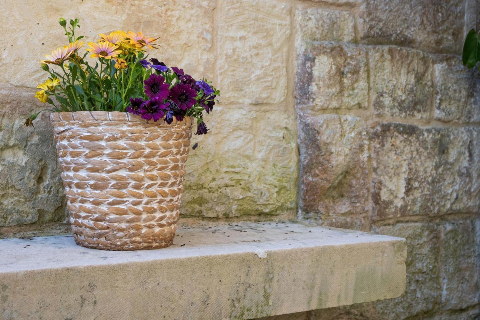 Agriturismo Masseria Del Bosco Makyva Borgagne Zewnętrze zdjęcie